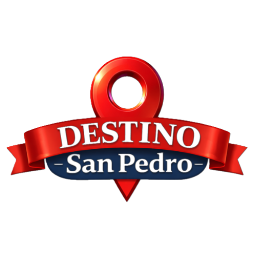 Destino Logo