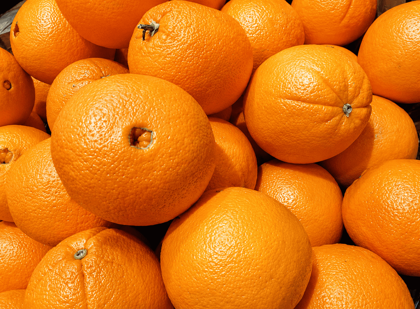 Fiesta de la Naranja de Ombligo